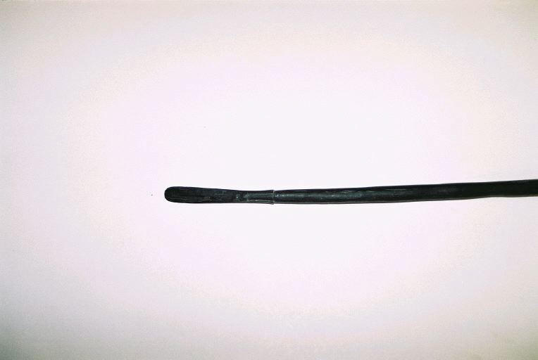 Sagaie_1