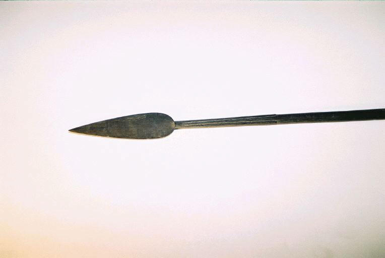 Sagaie_0