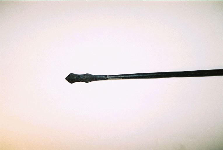 Sagaie_1