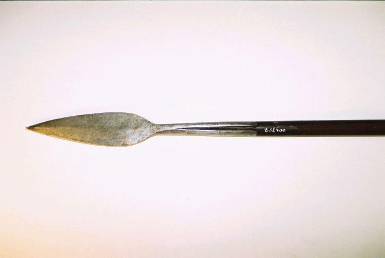 Sagaie_0