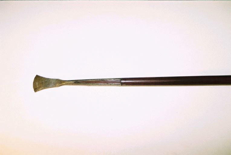 Sagaie_1