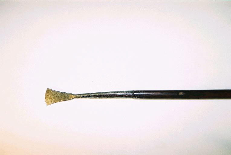 Sagaie_1