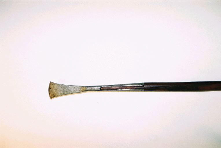 Sagaie_1