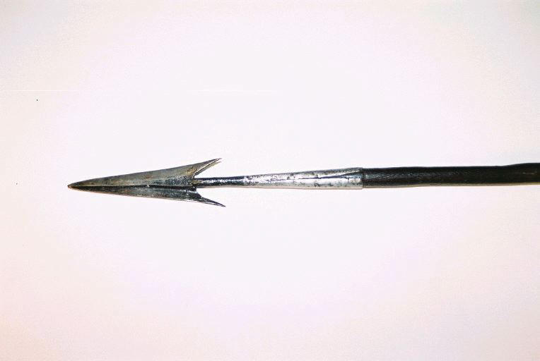Sagaie_0