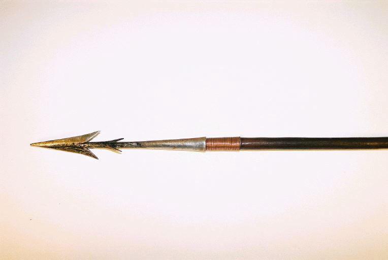 Sagaie_0
