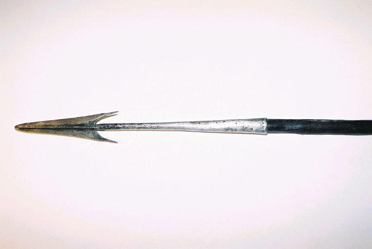 Sagaie_0