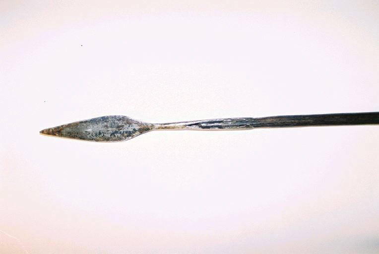 Sagaie_0