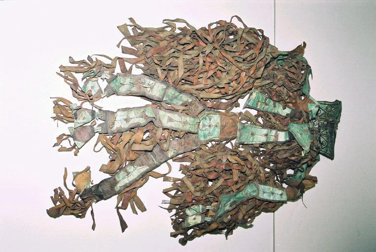 Caparaçon_0