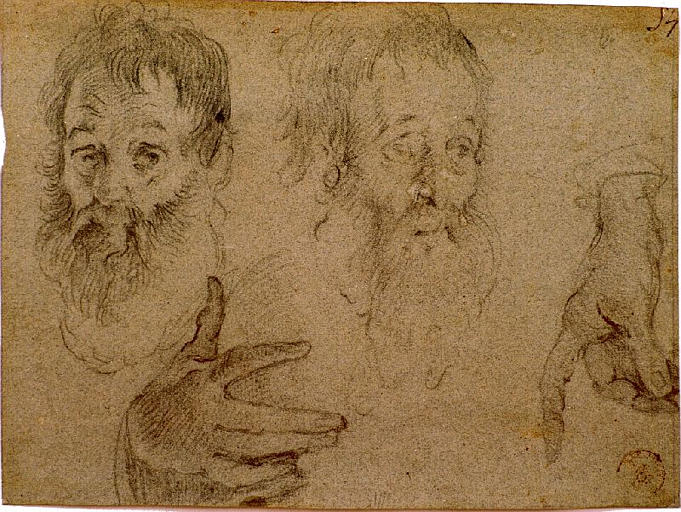 Deux études de têtes de vieillards et deux études de mains (titre factice) — Bernardo Strozzi
