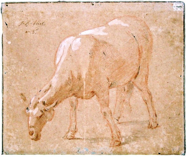 Mouton broutant (titre factice)_0