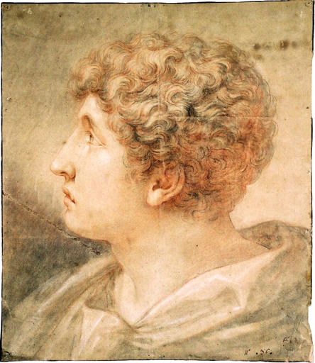 Profil de jeune homme vers la gauche._0