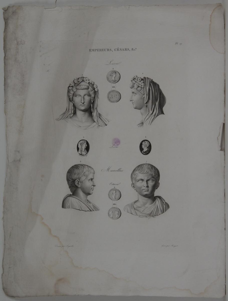 Planches de l'iconographie romaine (pl 19) : Empereurs, Césars, &Ca. : Livie, Marcellus_0