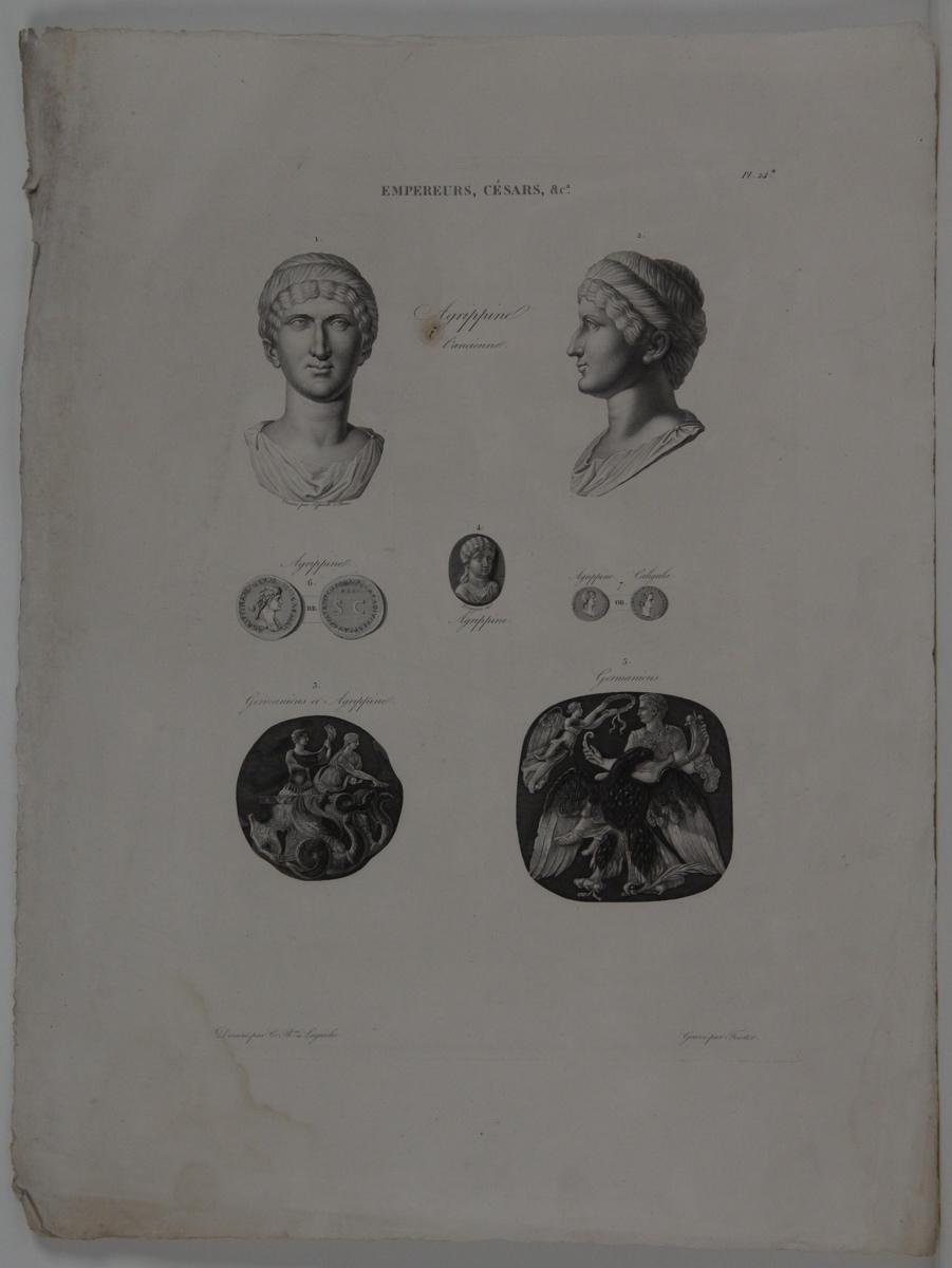 Planches de l'iconographie romaine (pl 24) : Empereurs, Césars, &Ca. : Agrippine l'ancienne_0