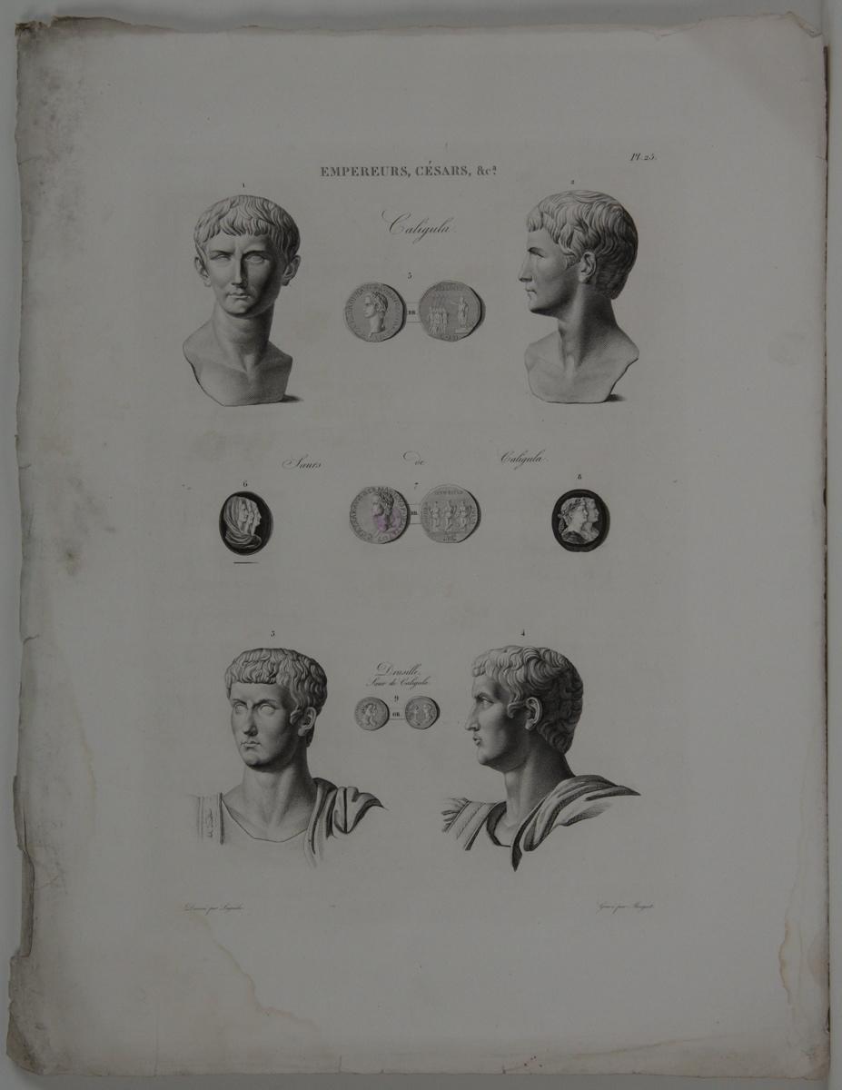 Planches de l'iconographie romaine (pl 25) : Empereurs, Césars, &Ca. : Caligula, Drusille, soeur de Caligula_0