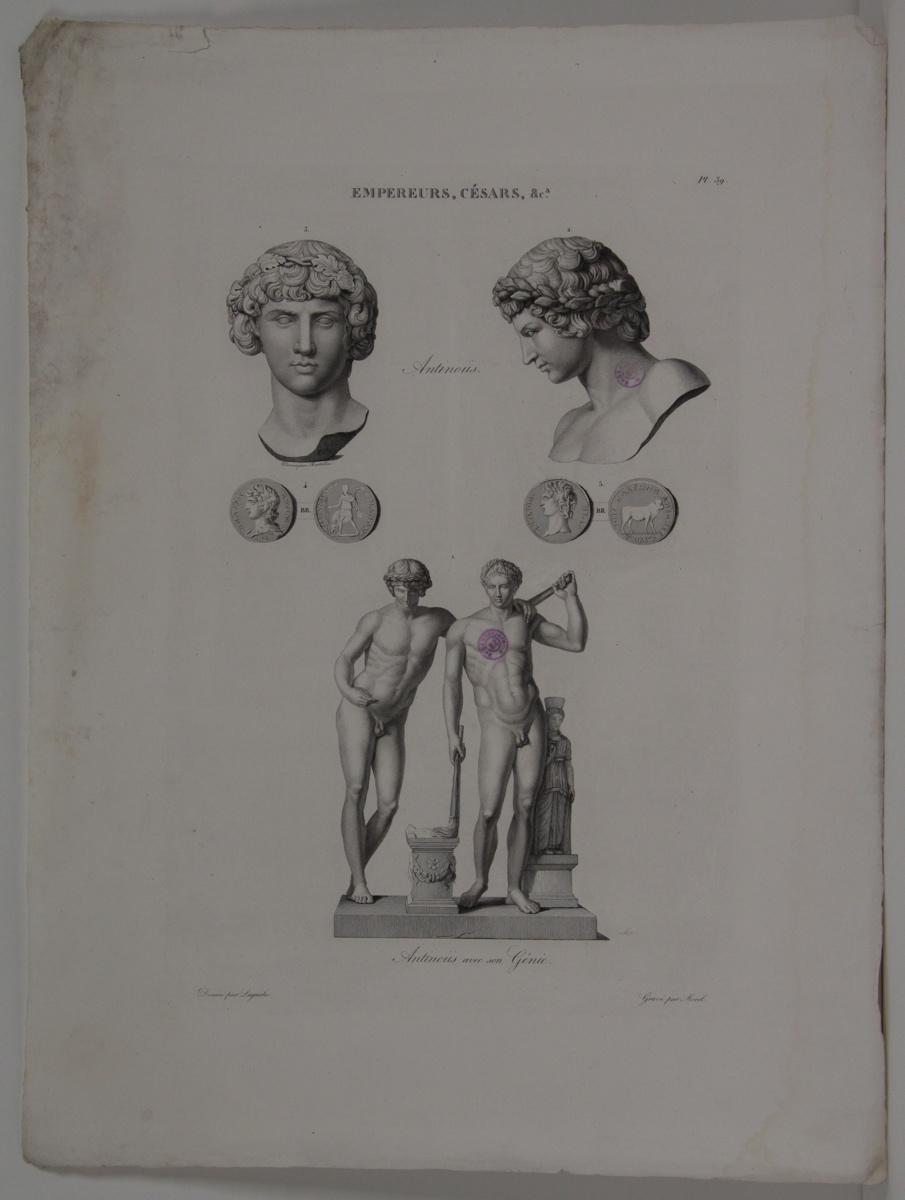 Planches de l'iconographie romaine (pl 39) : Empereurs, Césars, &Ca. : Antinoüs_0