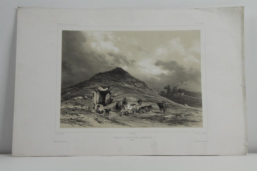 Voyages de la commission scientifique du nord en Scandinavie, en Laponie, au Spitzberg et aux Feröe, tome 12_2