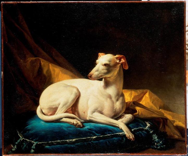 Portrait de Diane, levrette de Bergeret_0