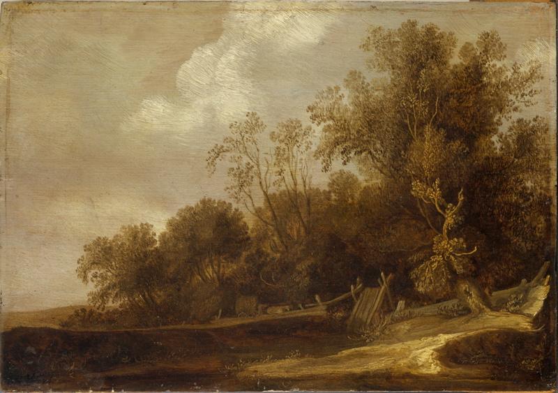 Paysage, Jacob Salomonsz van Ruysdael, 1630 vers