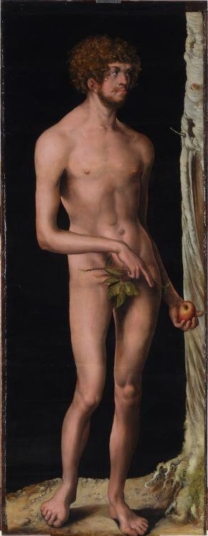 Adam, Lucas l’Ancien Cranach, 1508-1510