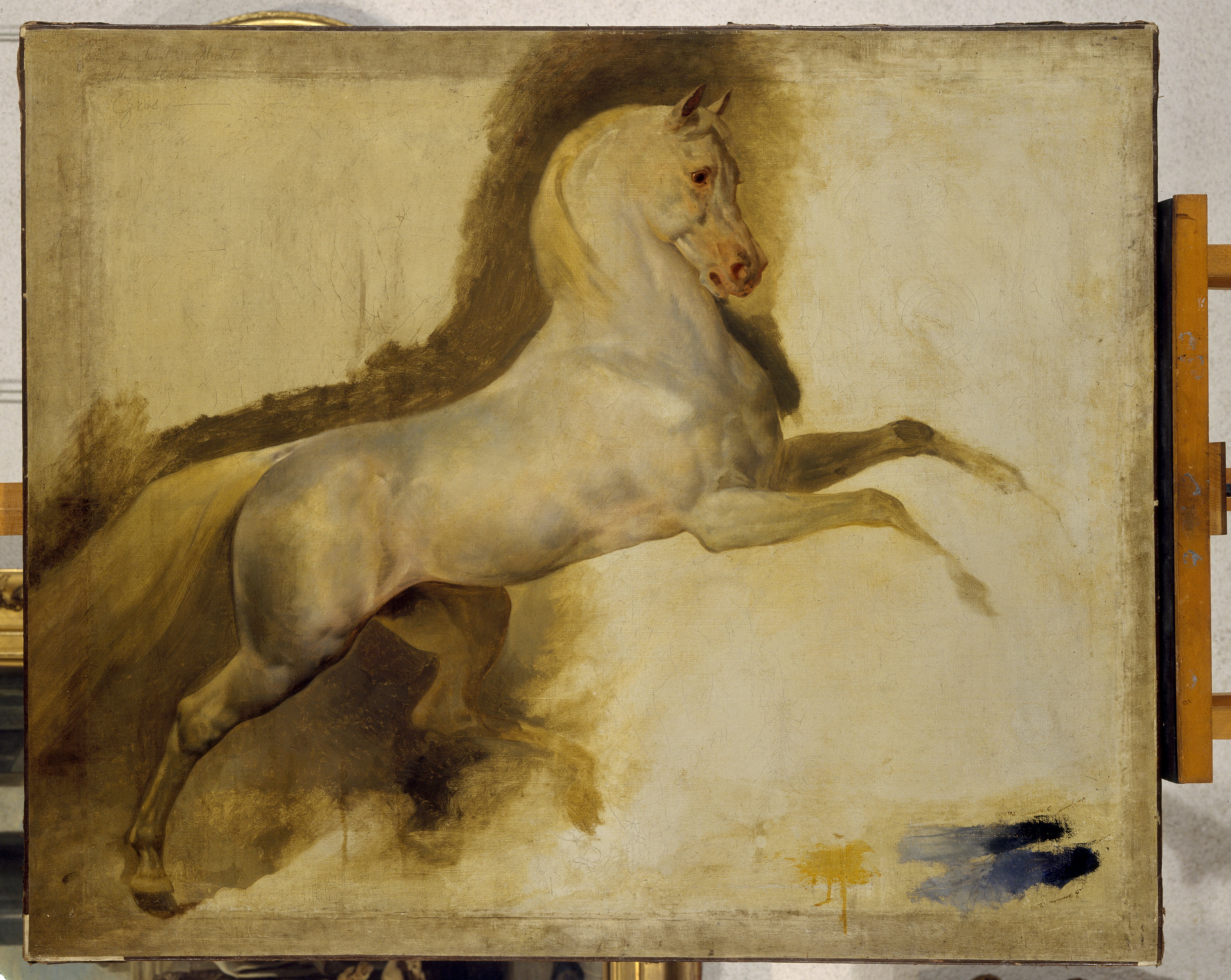 Cheval du général Murat, Claude-Antoine Beau, 1ère moitié 19e siècle