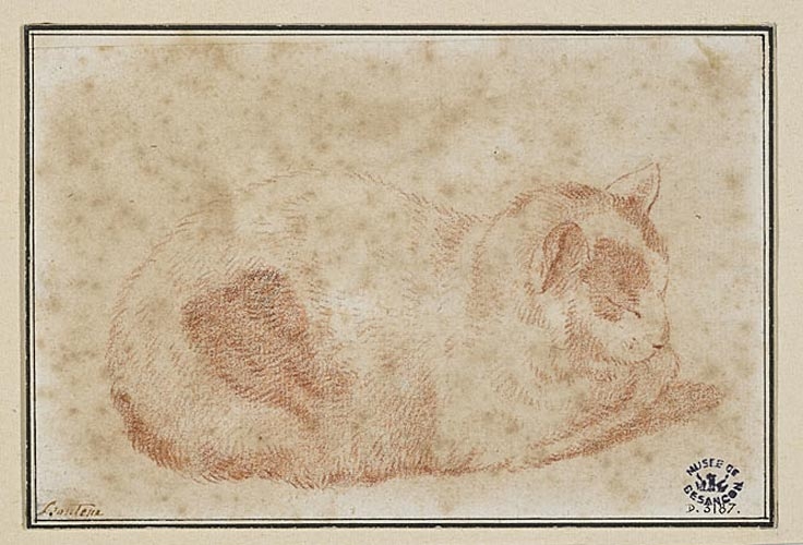 Chat endormi, Joseph Barthélémy Le Bouteux, 18e siècle