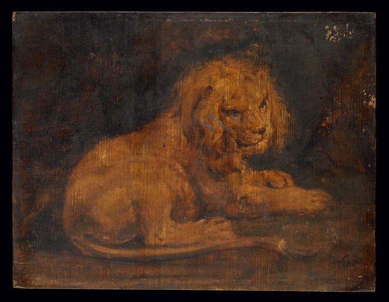 Lion, Petrus Paulus Rubens, 17e siècle