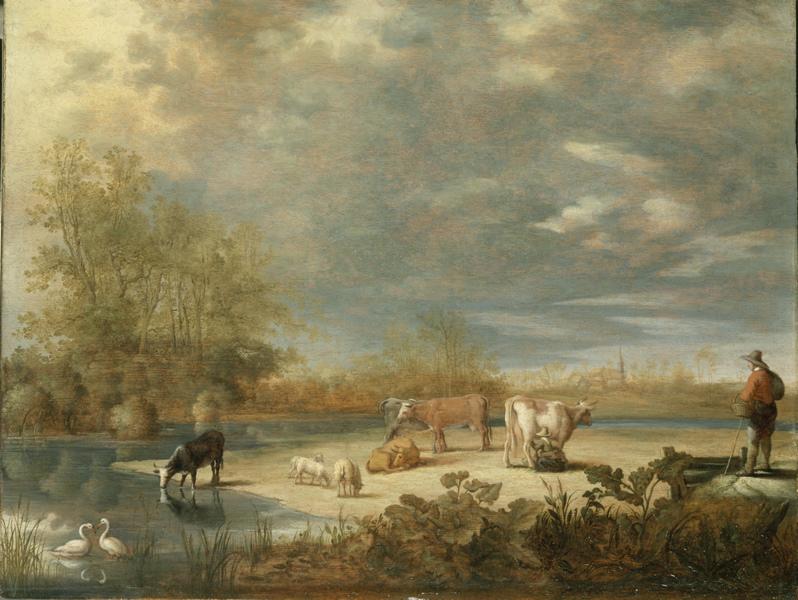 Vaches et moutons dans un pâturage_0