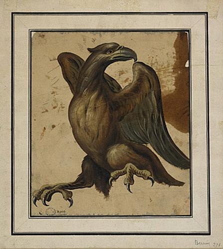 Etude d'aigle, 17e siècle, 18e siècle