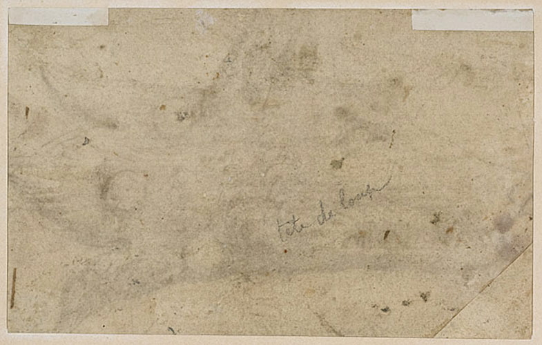 Etude d'une tête de martre_1