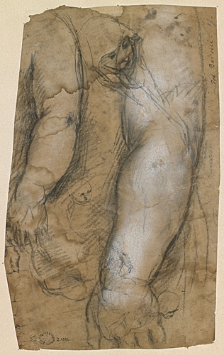 Étude de deux bras gauches et d'un visage de femme (recto) ; étude de deux figures d'hommes (verso), Federico Barocci, 1575-1579