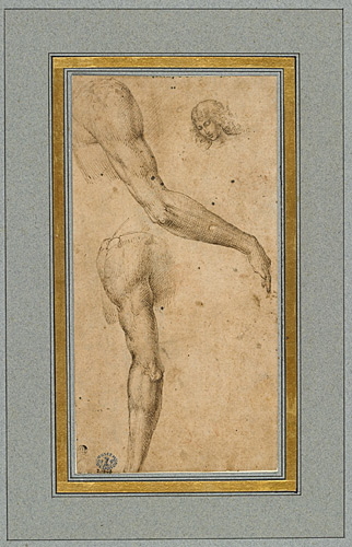 Feuille d'études : deux études de bras, un droit et un gauche, une étude de tête, penchée en avant, de trois quarts à gauche, Lorenzo Costa, 1500-1505
