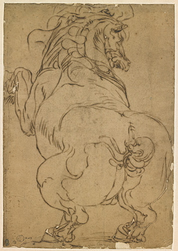 Étude d'un cheval cabré_0