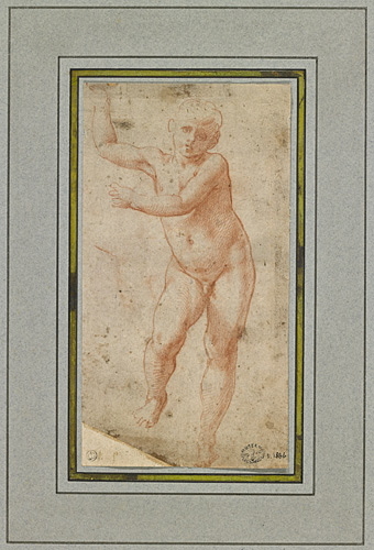 Étude de jeune enfant levant les bras (recto) ; Étude d'enfant les mains en prière (verso), Girolamo Genga, 1516-1518