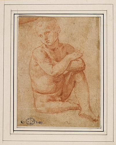 Etude de jeune enfant assis bras croisés, Girolamo Genga, 16e siècle
