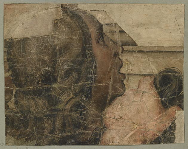 Visage d'homme aux cheveux longs vu de 3/4 dos_0