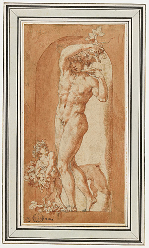 Bacchus dans une niche, Fiorentino Rosso, 1526 vers
