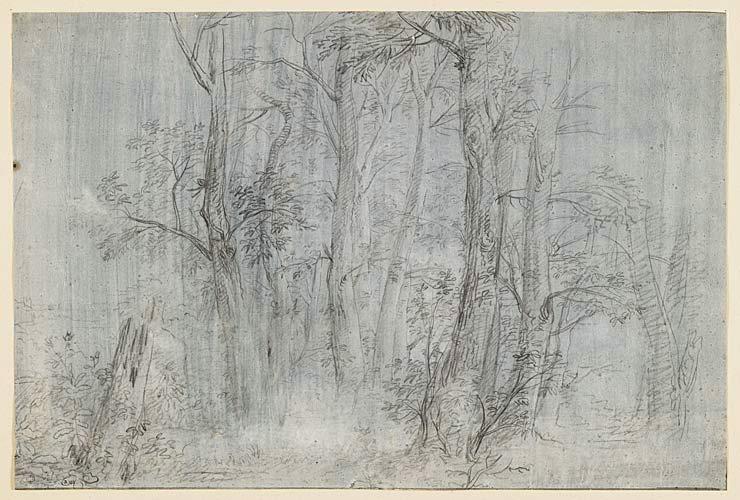 Vue d'un sous-bois, Pompeo Batoni, 1750 vers