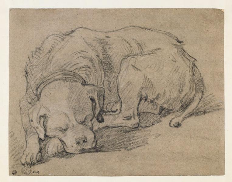 Chien endormi, Jacob Jordaens, 1641 vers