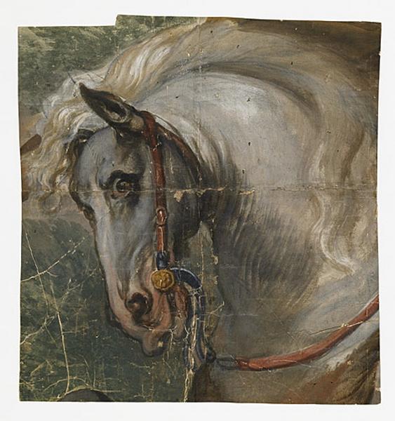Tête de cheval, Jacob Jordaens, 17e siècle
