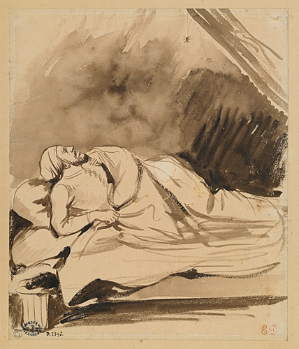 Robert Bruce s’inspirant d’une araignée_0