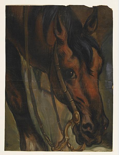 Tête de cheval_0