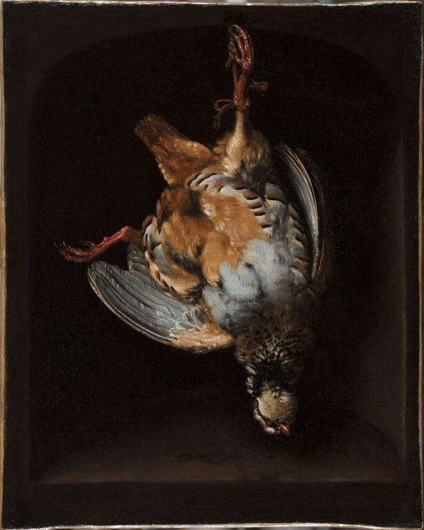 Perdrix, François Desportes, 18e siècle