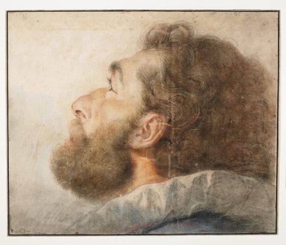 Tête d'homme de profil, Placido Costanzi, 1728
