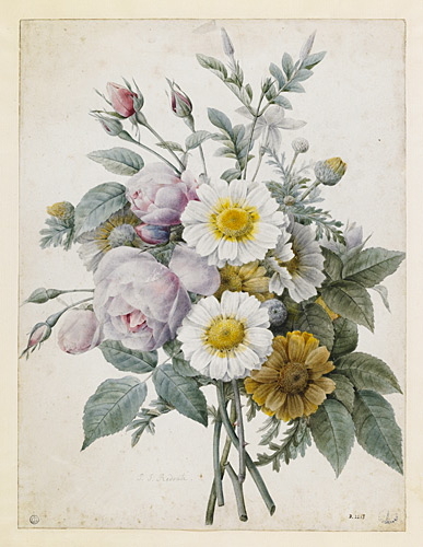 Bouquet de fleurs : roses à fleurs doubles, marguerites blanches et jaunes, et jasmin blanc_0
