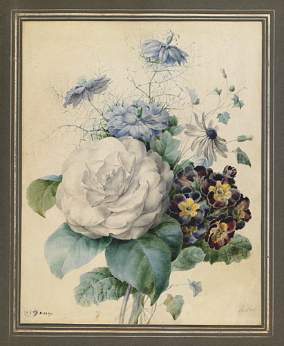 Bouquet de fleurs : camélia, primevère auricule de Liège, nigelle de Damas et plante de la famille des Lobéliacées, Pierre Joseph Redouté, 18e siècle, 19e siècle