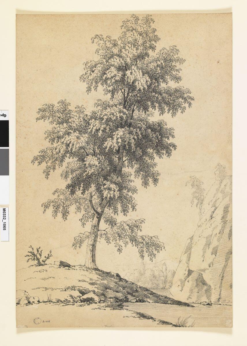 Etude d'un arbre dans une vallée rocheuse, Jean Victor Bertin, 2e quart 19e siècle