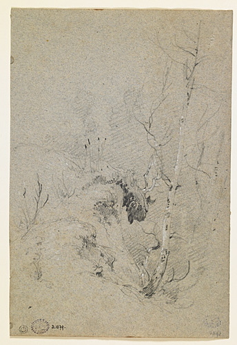 Etude d'arbres au bord d'un ravin, Augustin Enfantin, 19e siècle