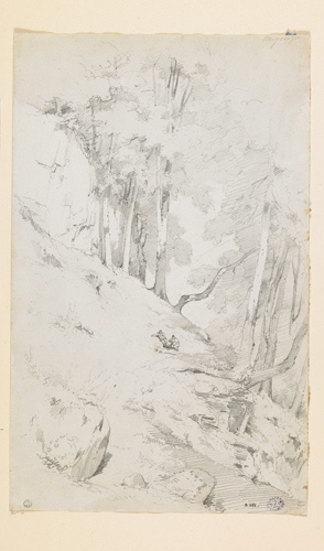 Pente boisée, Augustin Enfantin, 19e siècle