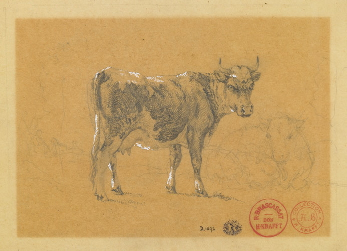 Feuille d'étude, Jacques-Raymond Brascassat, 19e siècle