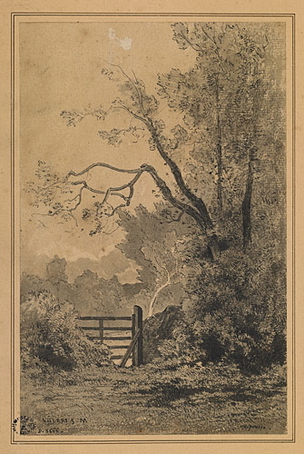 Villers Saint-Martin. - Barrière de bois et grands arbres, Charles Donzel, 19e siècle